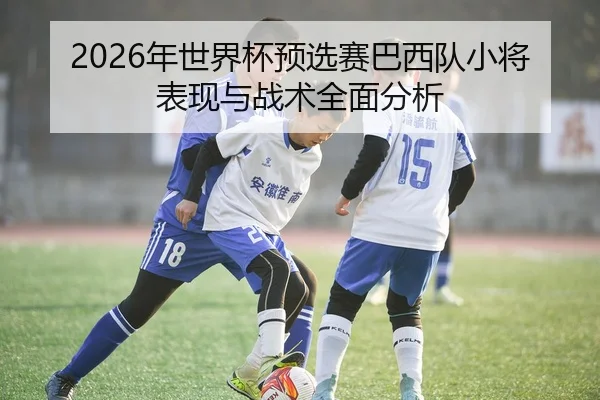 2026年世界杯预选赛巴西队小将表现与战术全面分析