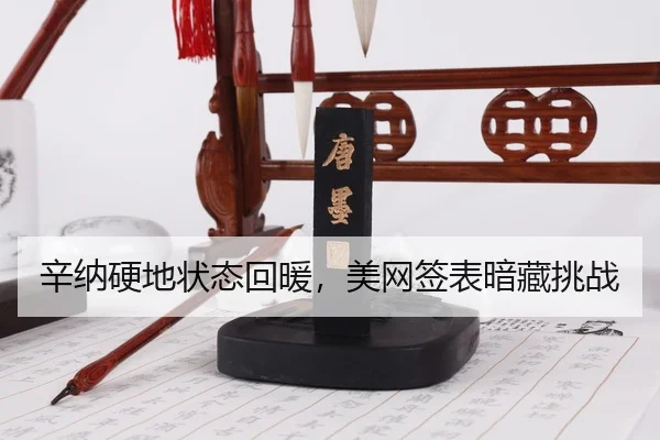 xin-na-ying-di-zhuang-tai-hui-nuan-mei-wang-qian-biao-an-cang-tiao-zhan-3-384.jpg